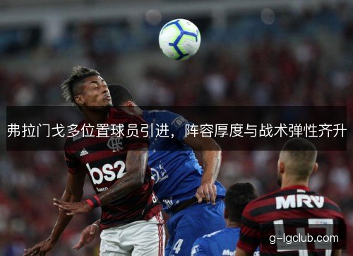 弗拉门戈多位置球员引进,阵容厚度与战术弹性齐升 弗拉门戈多位置球员引进,阵容厚度与战术弹性齐升