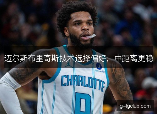 迈尔斯布里奇斯技术选择偏好，中距离更稳