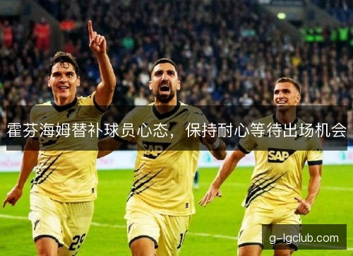 霍芬海姆替补球员心态，保持耐心等待出场机会